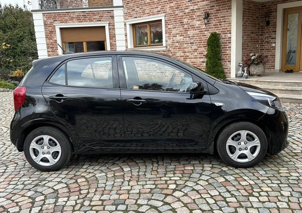 Kia Picanto cena 53900 przebieg: 10500, rok produkcji 2023 z Złoty Stok małe 92